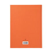 Hilma af Klint The Ten Largest orange notebook